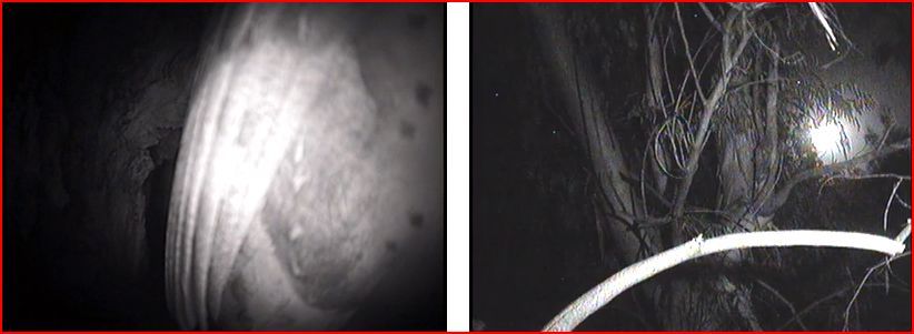 19Feb2014MoonRiseandOwlWing_zps2707847c.jpg