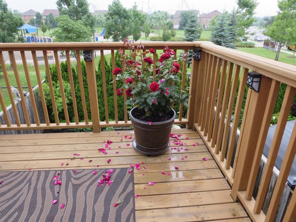 photo IMG_1191_zpsabf59b08.jpg