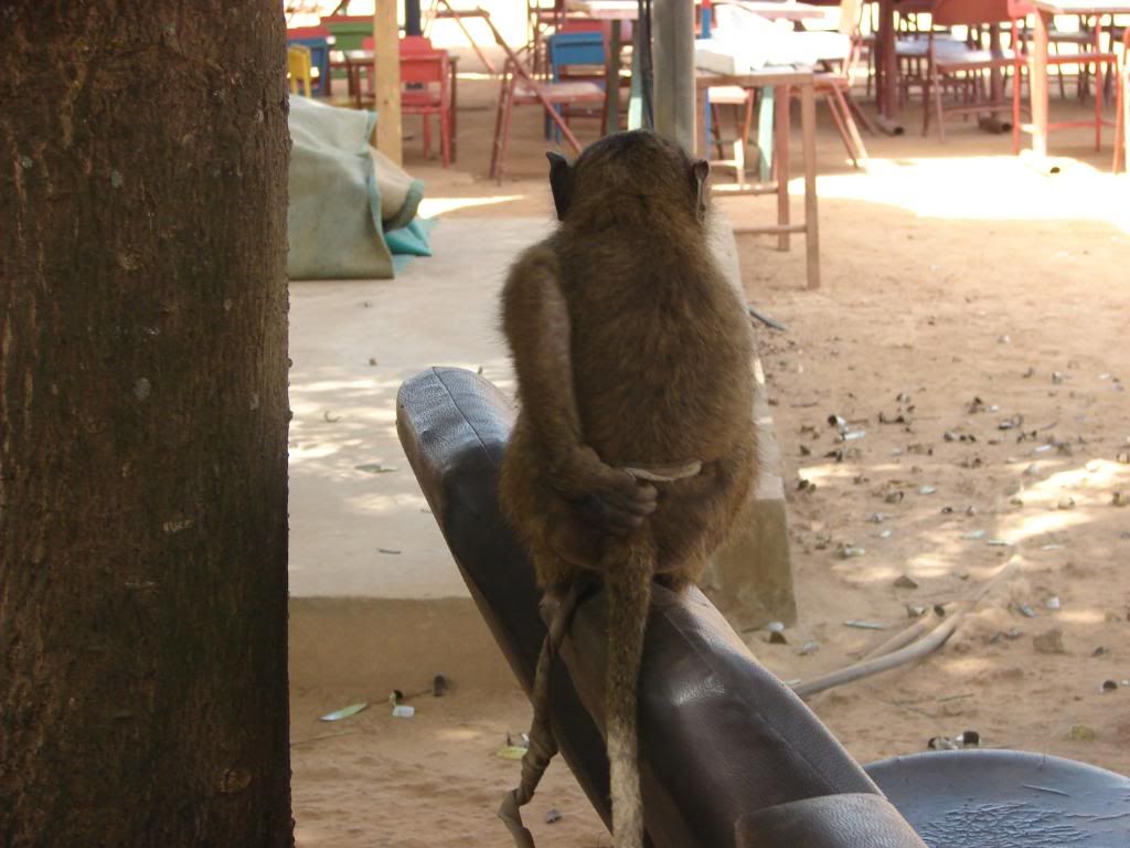 bad itch photo: Butt Itch DSC03017.jpg