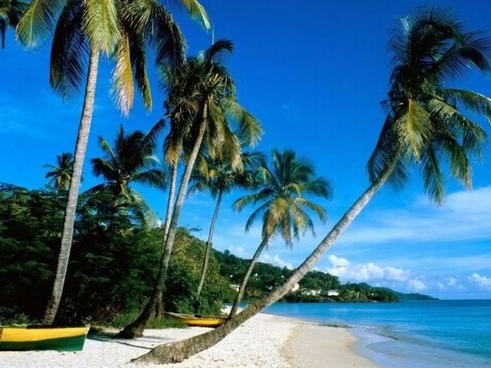 1254197487_beautiful_beaches_27.jpg
