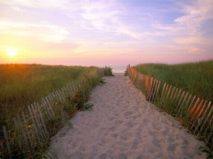 1254197503_beautiful_beaches_17.jpg