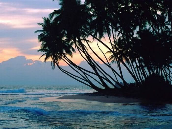 1254197513_beautiful_beaches_15.jpg