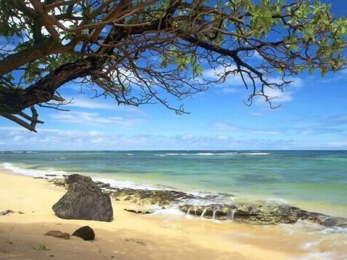1254197513_beautiful_beaches_39.jpg