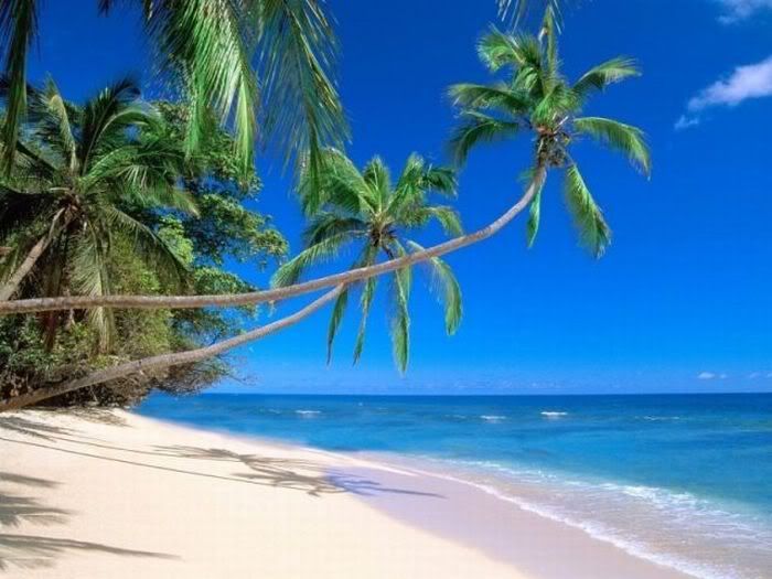 1254197515_beautiful_beaches_38.jpg