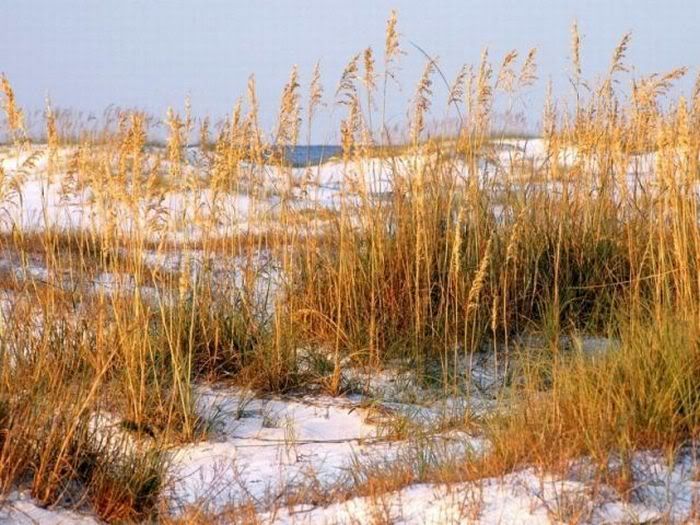 1254197522_beautiful_beaches_20.jpg