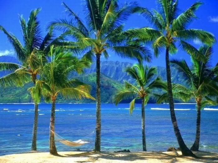 1254197533_beautiful_beaches_03.jpg