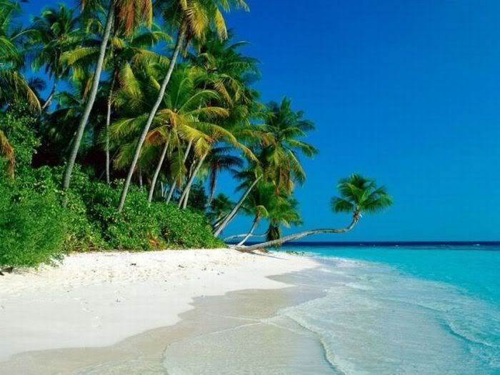1254197549_beautiful_beaches_45.jpg