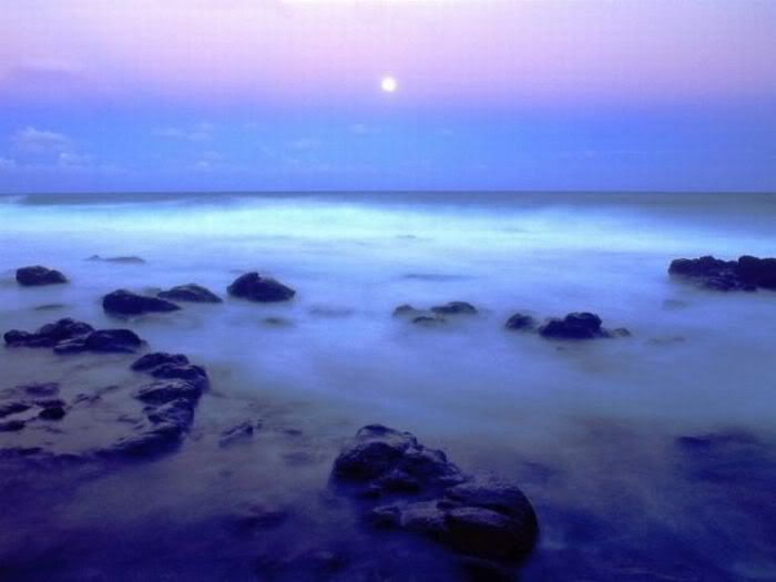 1254197554_beautiful_beaches_34.jpg