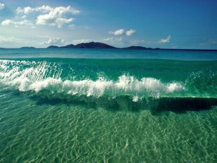 1254197561_beautiful_beaches_18.jpg