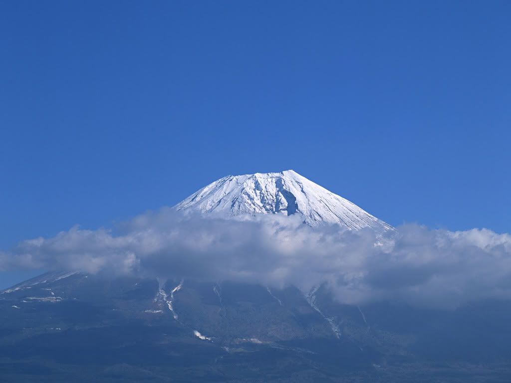 73.jpg