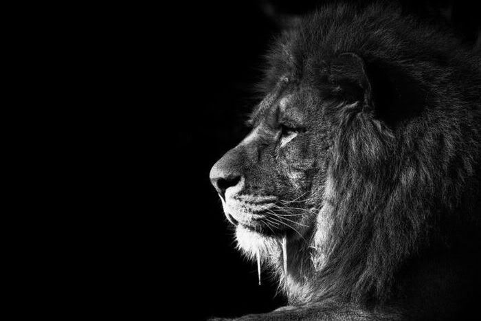 1253162262_black_and_white_13.jpg