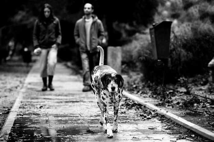 1253162319_black_and_white_27-1.jpg