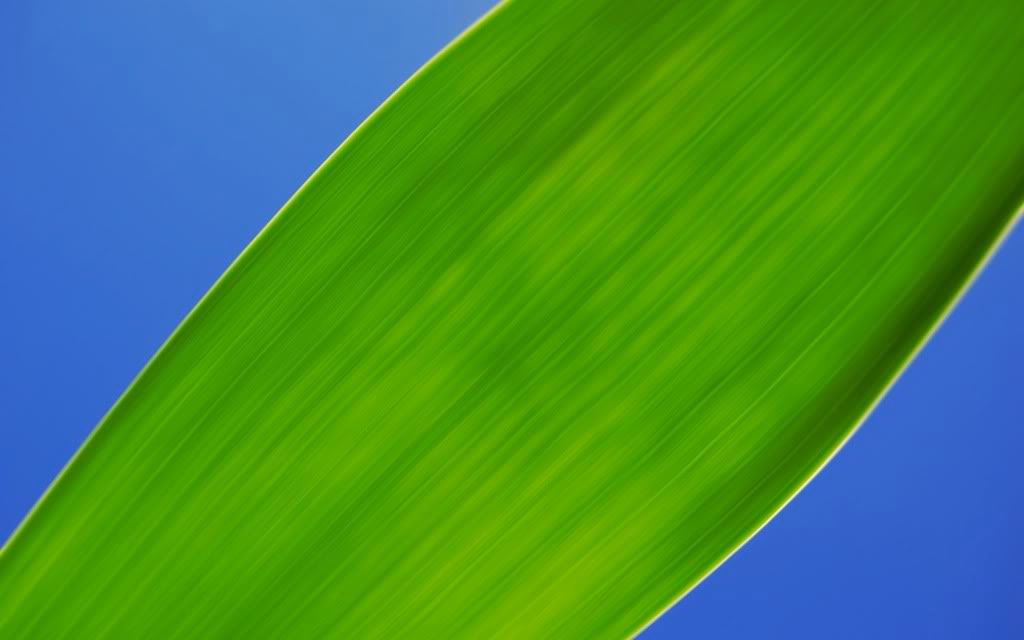 65.jpg