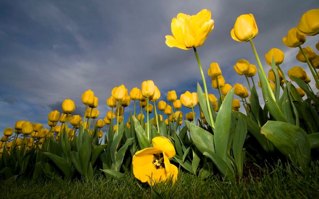 91.jpg