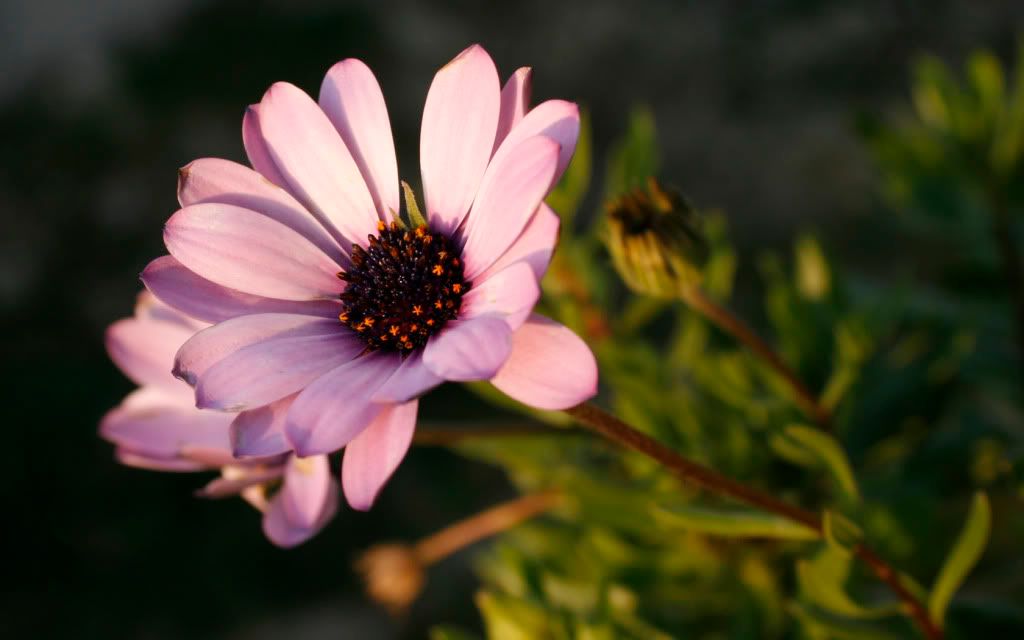 95.jpg