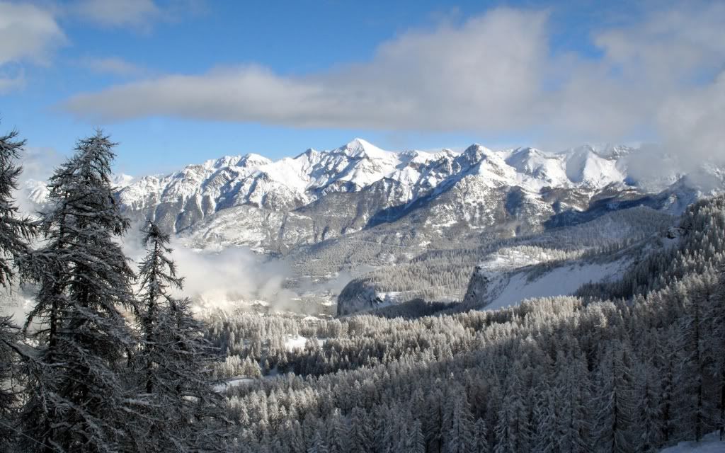 ad12589305145-1.jpg