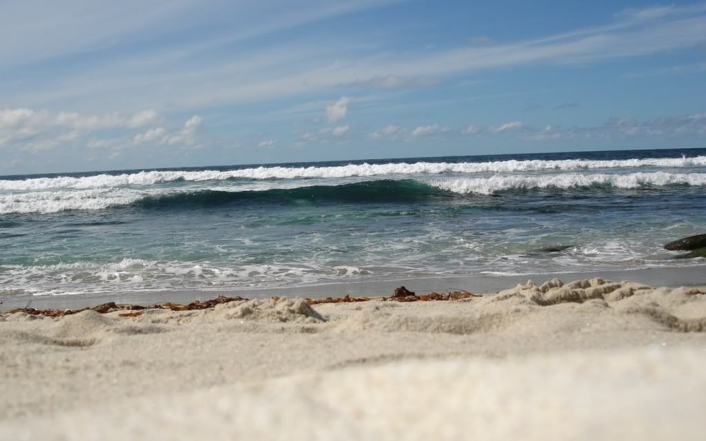 ad14768102459-1.jpg