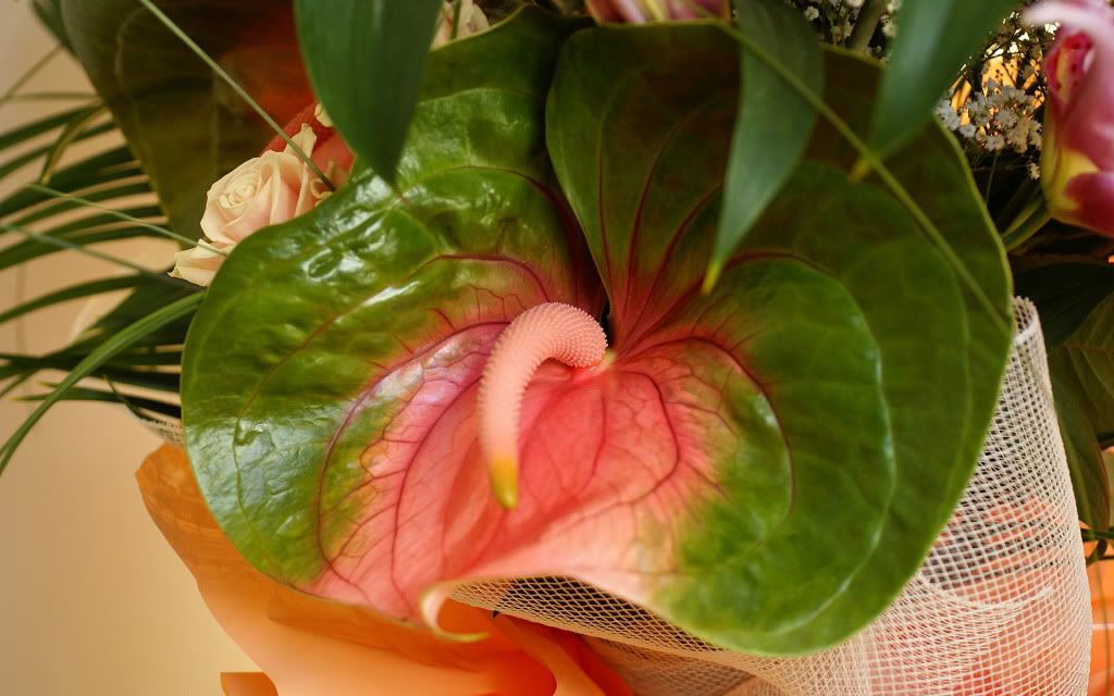romantic_flowers_dra23.jpg
