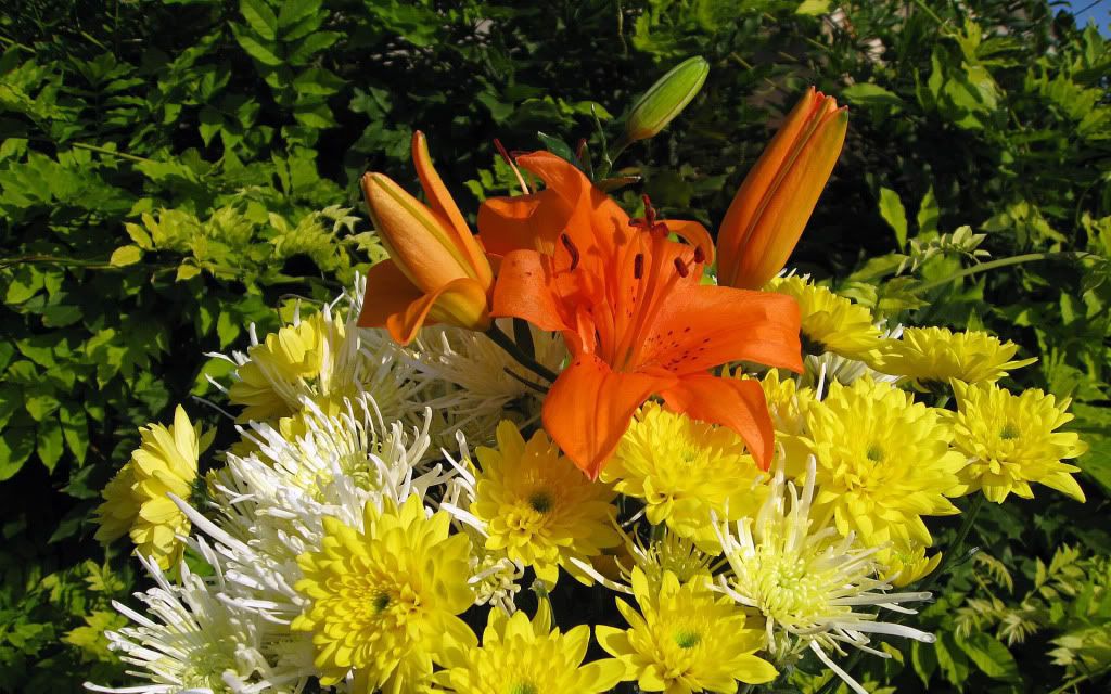 romantic_flowers_dra33.jpg