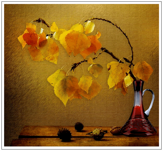 Animated Flowers Pictures, Images and Photos
