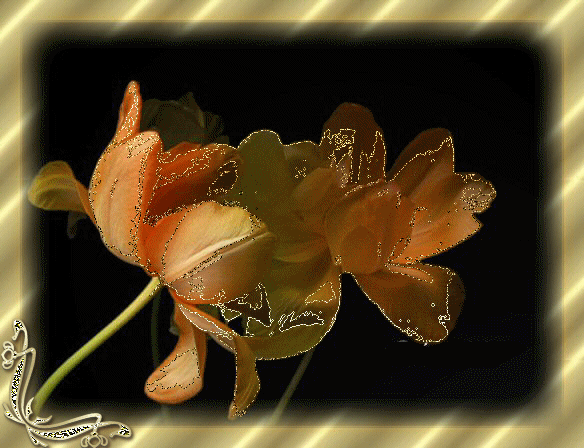 animated flowers photo: Animated Flowers 1g40222.gif