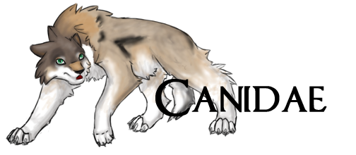 Canidae Sim