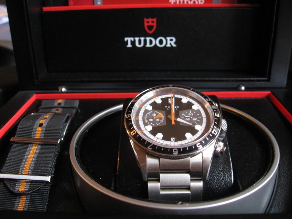 Tudor2.jpg