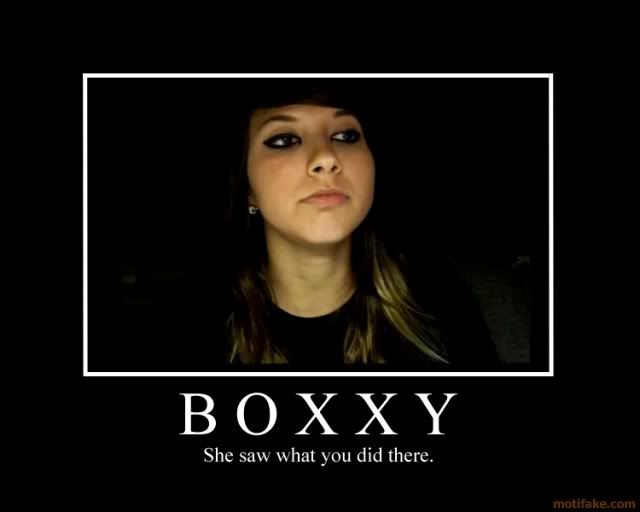 boxxy-saw-what-you-did-boxxy-saw-what-you-did-there-demotivational-poster-1247964020.jpg