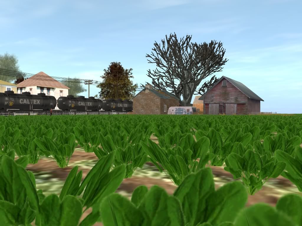 trainz89_20101010_0004.jpg