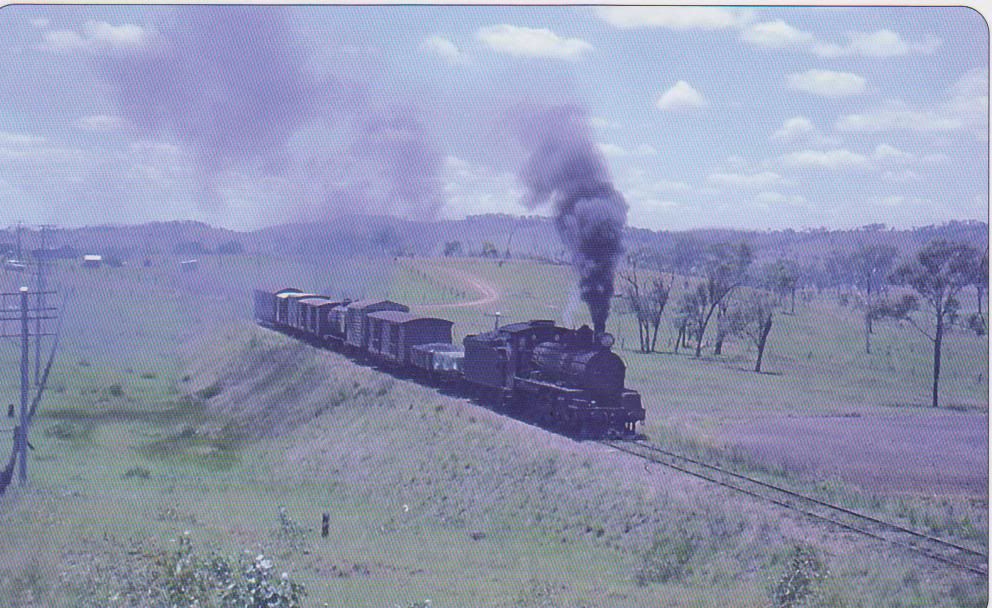 QRC17767OnaReqularKingaroyGoods.jpg