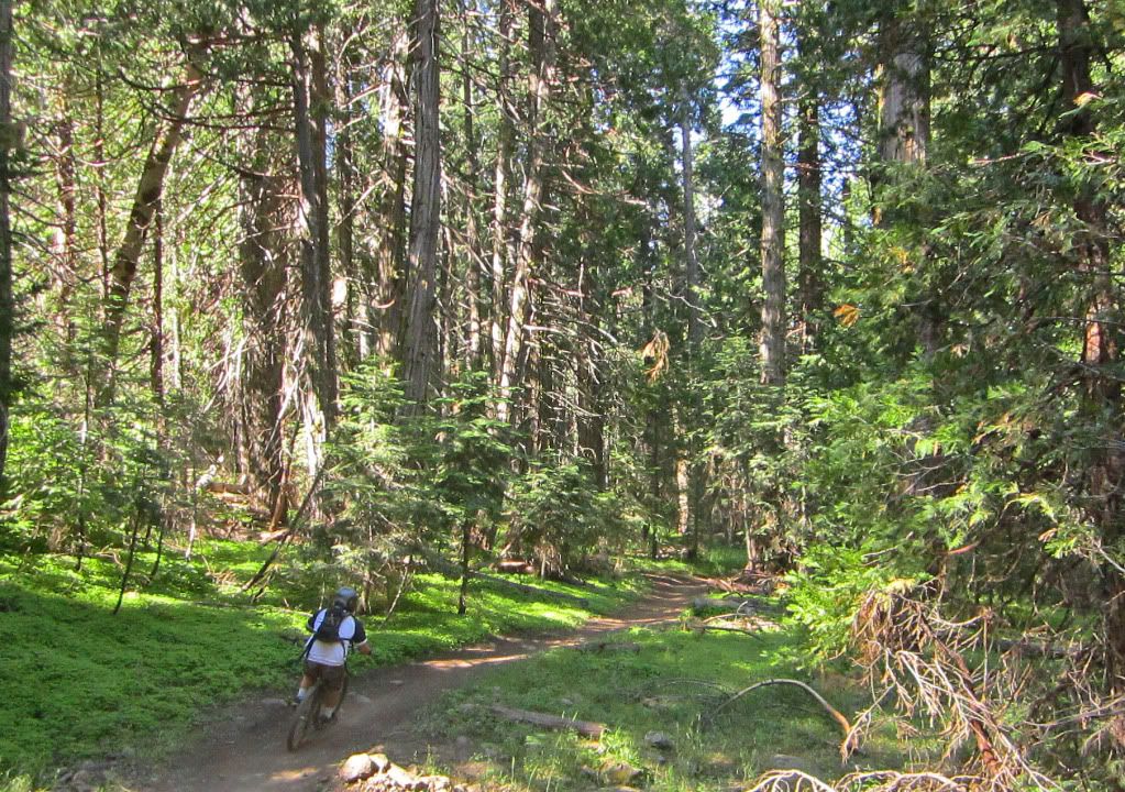 downieville single guys I've ridden the downieville classic race course a gazillion times, raced it from this great community—one guy seemed so sad that he couldn't. downieville single guys I've ridden the downieville classic race course a gazillion times, raced it from this great community—one guy seemed so sad that he couldn't.