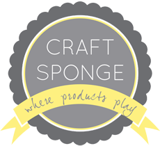 Craft Sponge