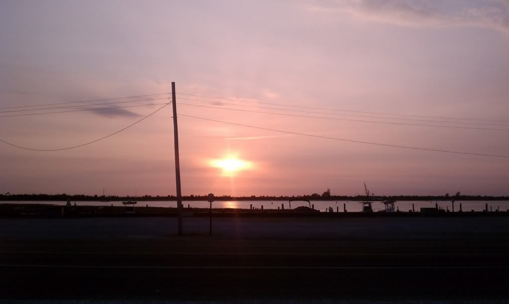 IMAG0003-1.jpg