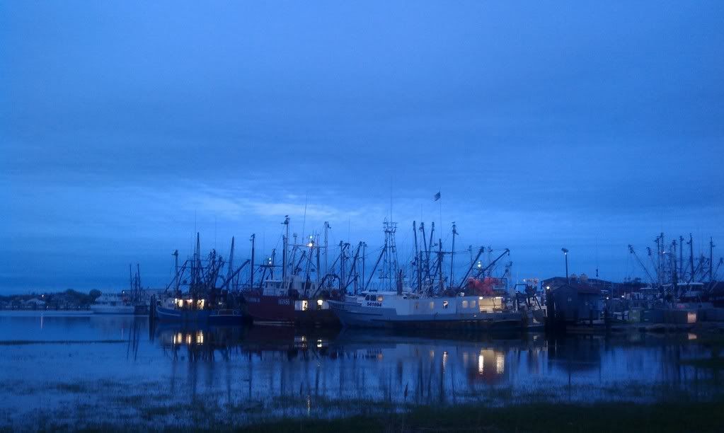 IMAG0020.jpg