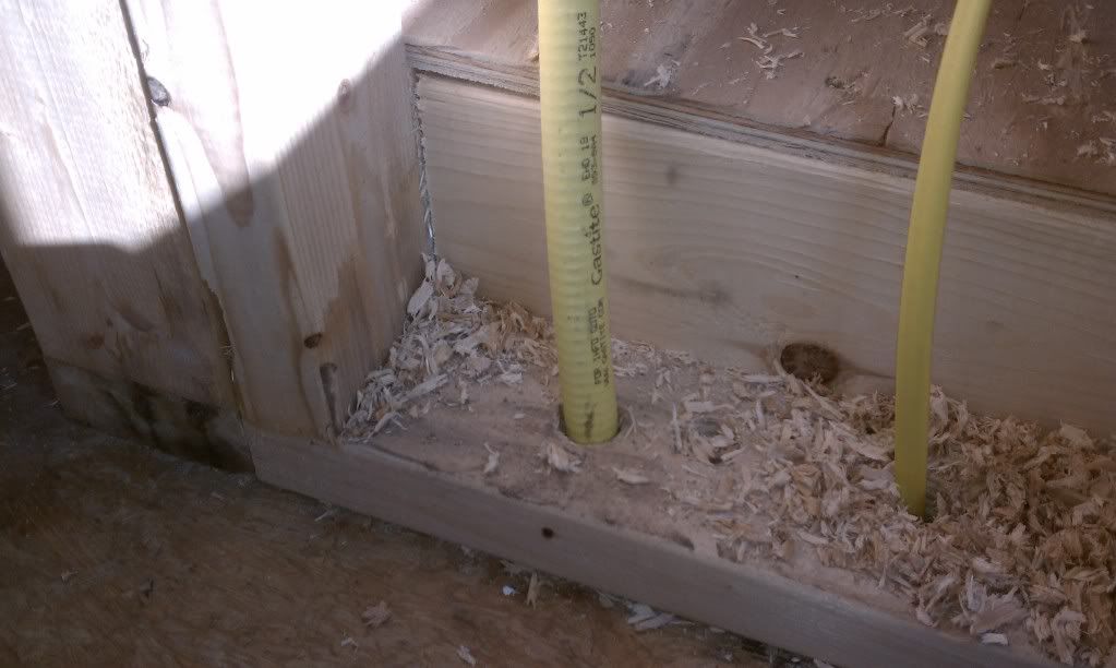 IMAG0229-1.jpg