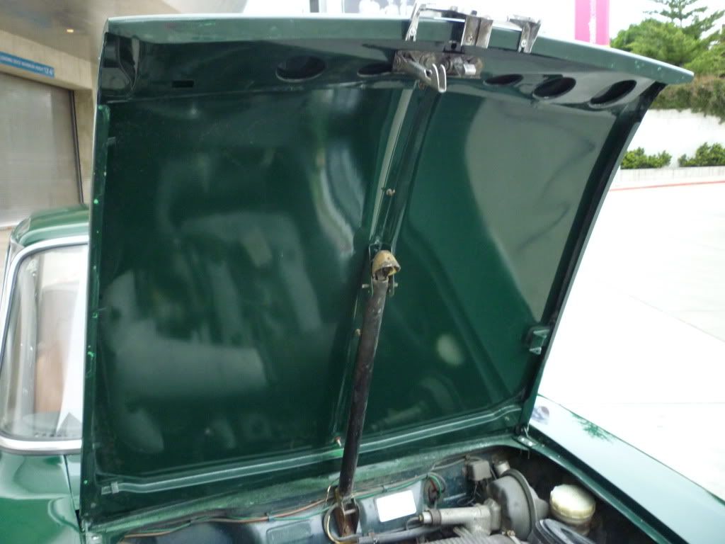 For Sale 1967 Giulia Super Fresh From Daron S Shop
