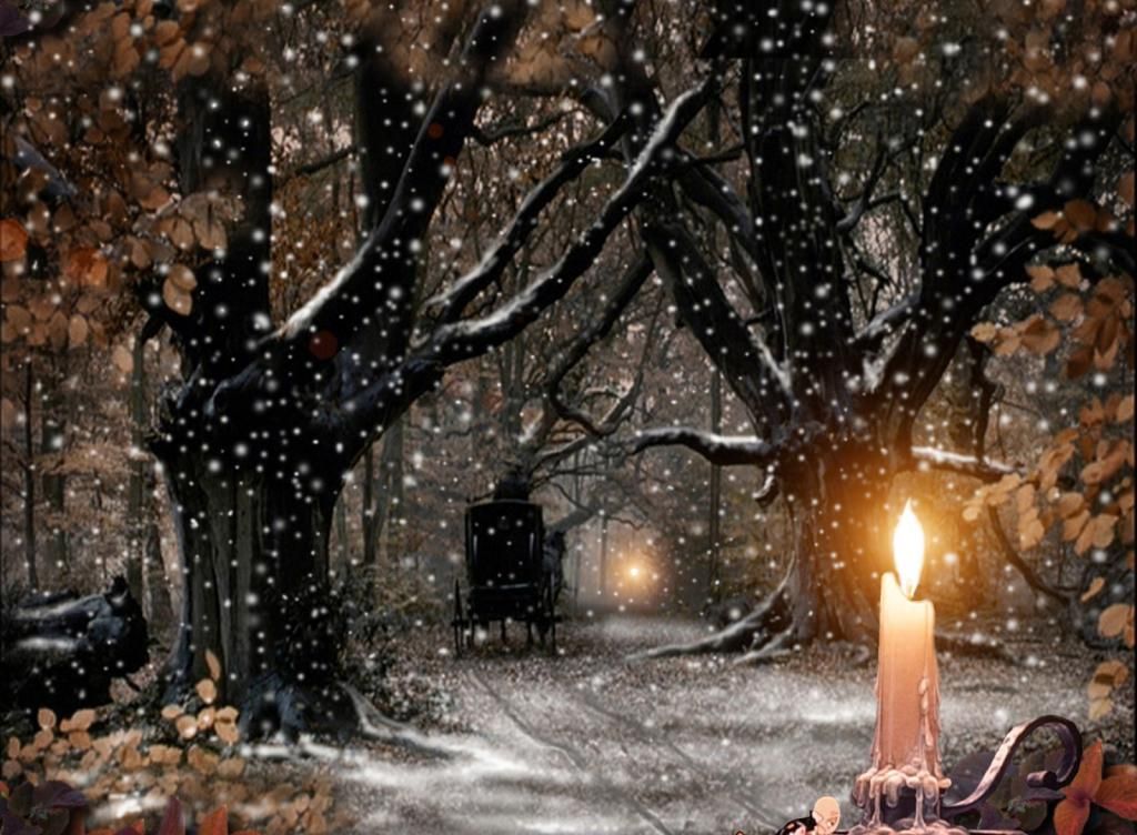 Christmas-Snowfall-Wallpapers_zpsce043386.jpg