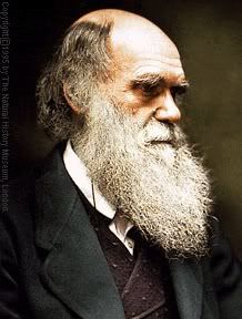 Charles Darwin, evolutie, formule, fosile, gene, genom, specii, teorie