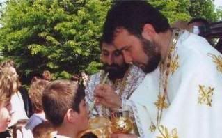 Parintele Boian Alexandrovic, Preot vicar, Timoc, Episcopiei Dacia Felix 