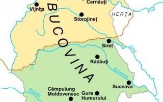 Fântâna Albă, Katyn-ul românesc, Bucovina, Mugur Andronic