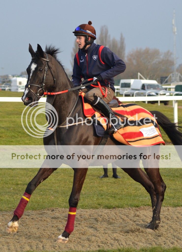 Don Cossack