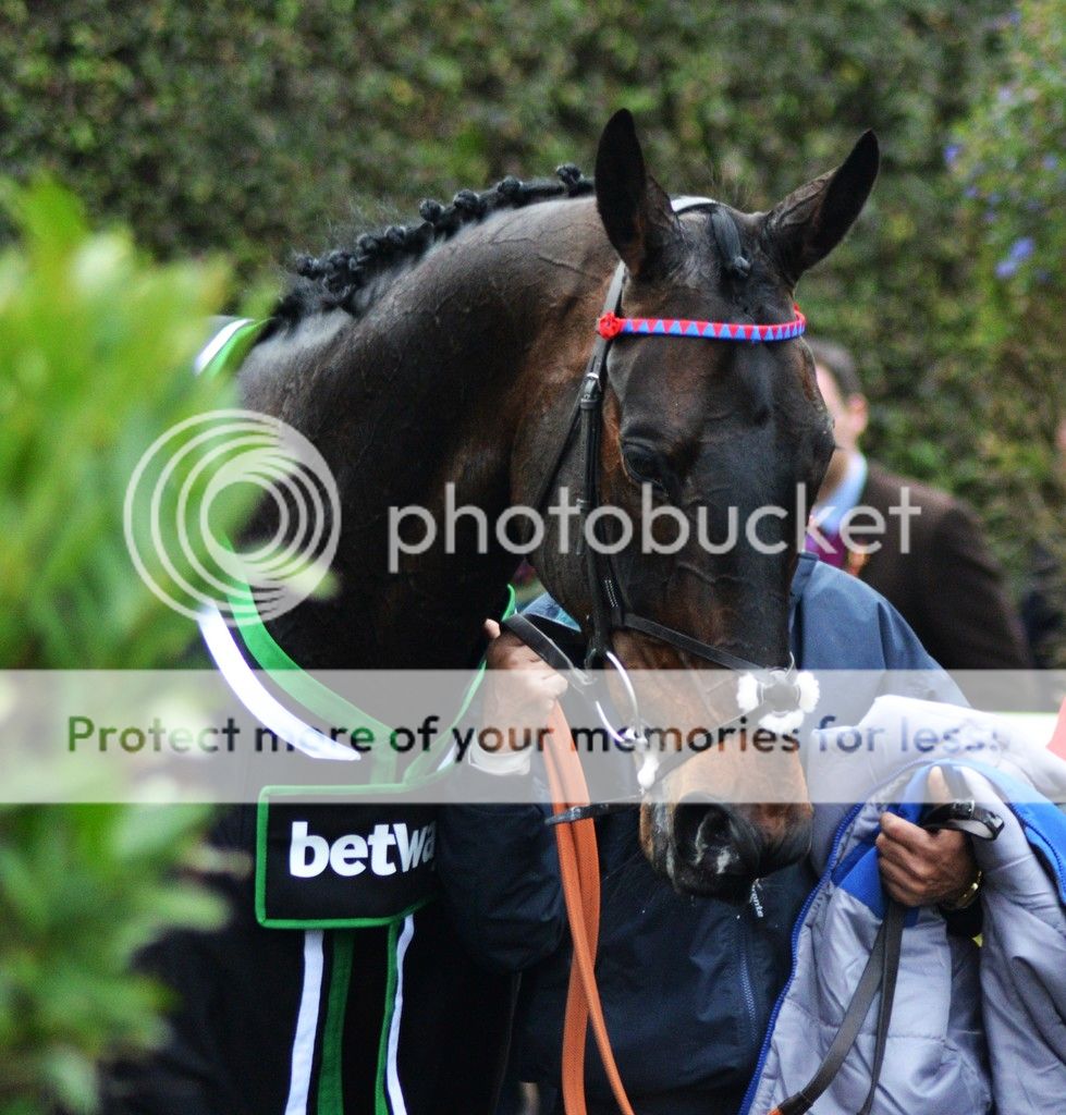 Sprinter Sacre