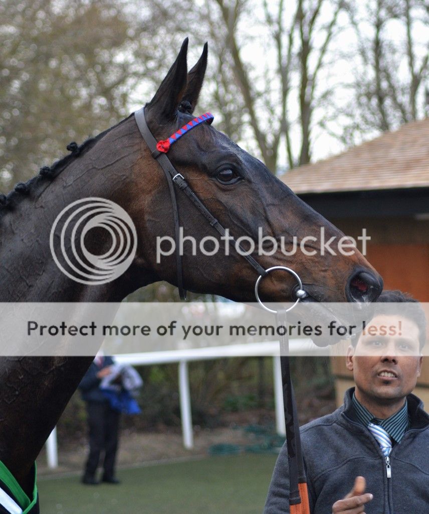 Sprinter Sacre