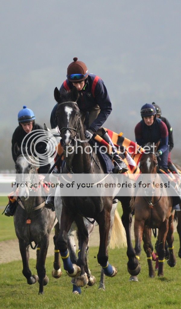 Don Cossack