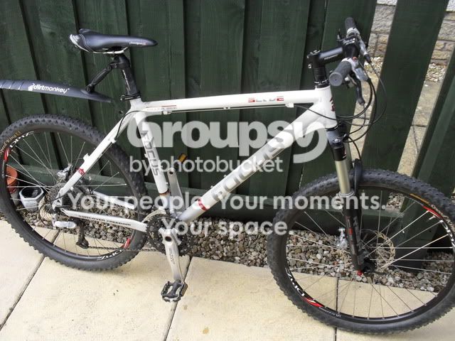focus killer bee mountain bike Focus Killer Bee Disc im Test 