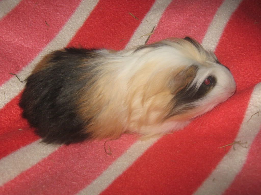 Picture007.jpg