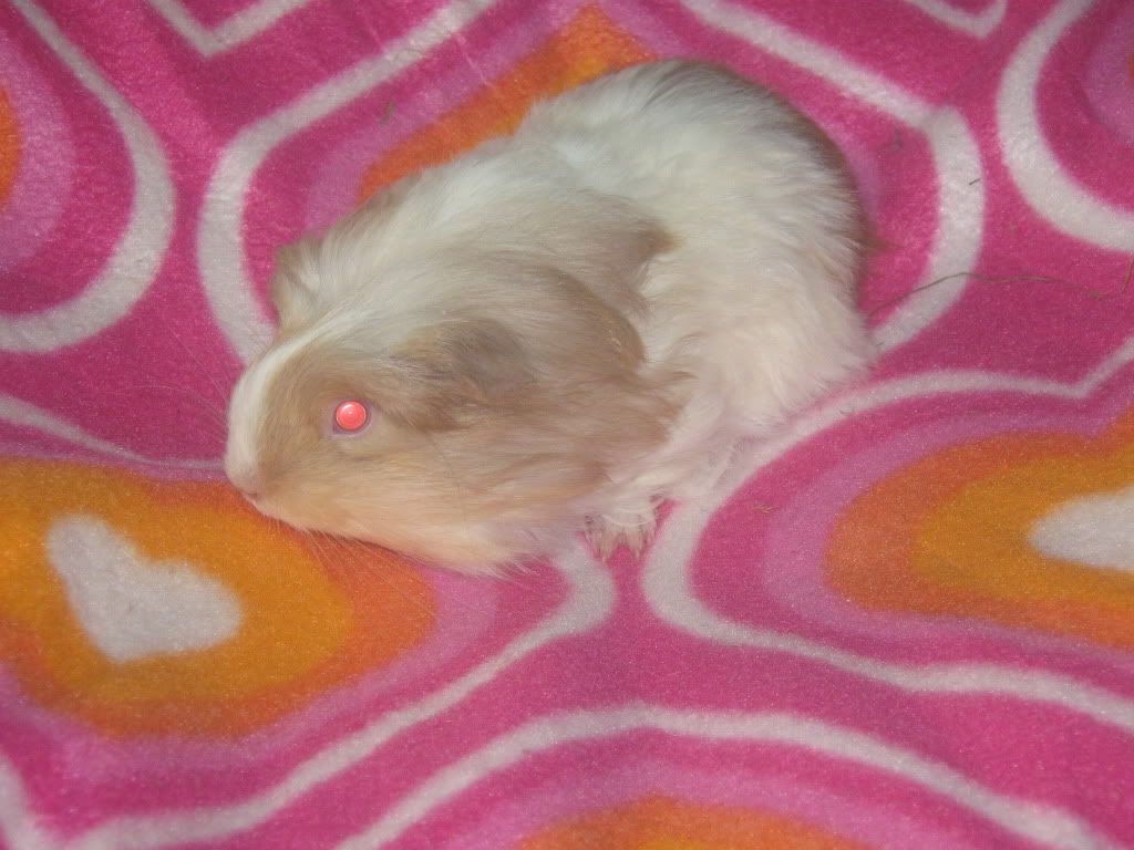 Picture019.jpg
