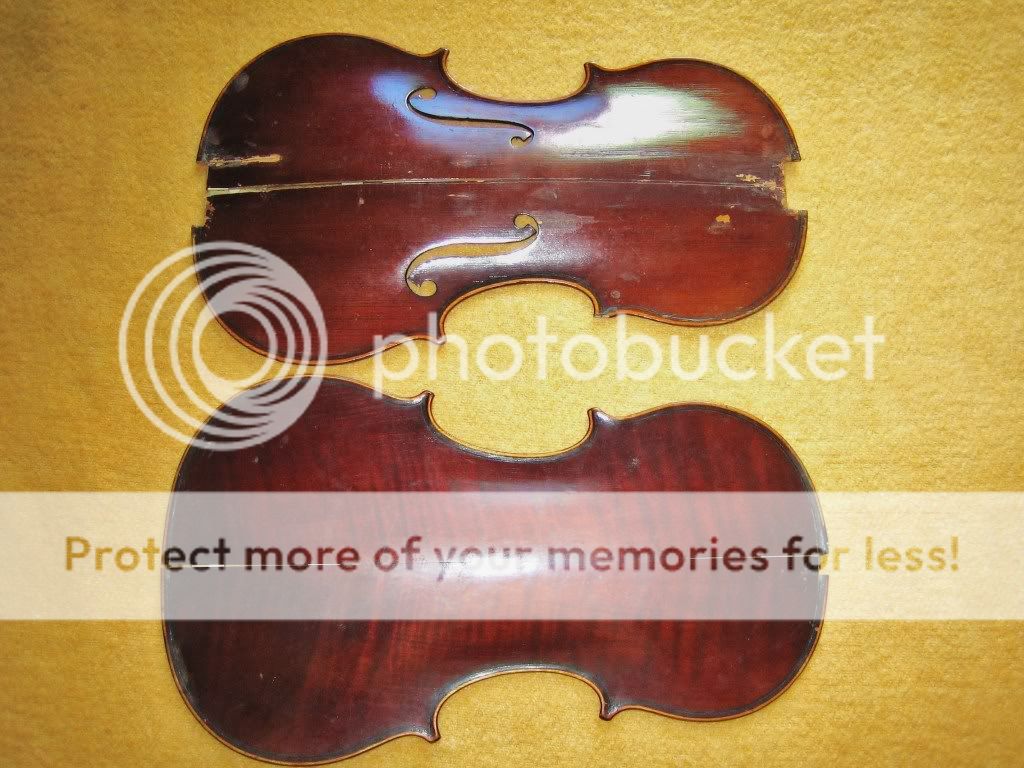 [求助]父辈传下一把阿马蒂小提琴,看标签是1651年